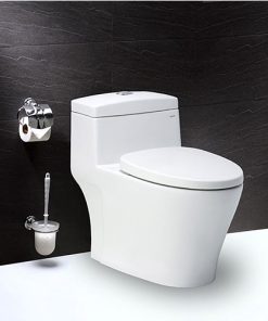 BÀN CẦU MỘT KHỐI CD1363