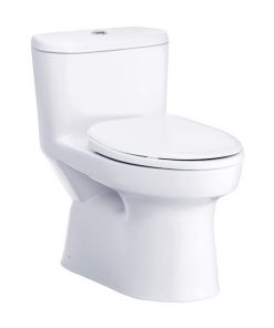 BỒN CẦU 1 KHỐI C1015