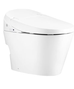 BỒN CẦU 1 KHỐI C10247