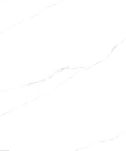 VVVN66028