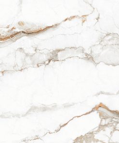 Alternative view of KE SG6208