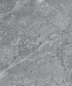 Alternative view of TP009D62