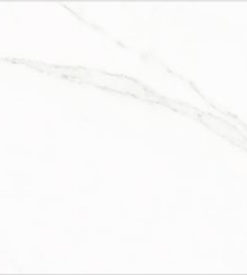 8101