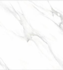 8102