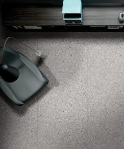 Alternative view of GT606009