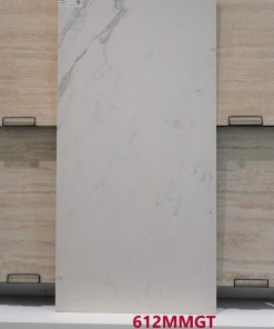 Alternative view of 612HTSTMMGT