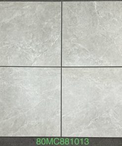 Alternative view of 80HTSTMC881013