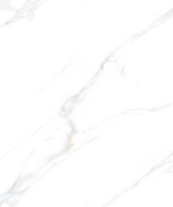 Alternative view of 80HTSTSS501