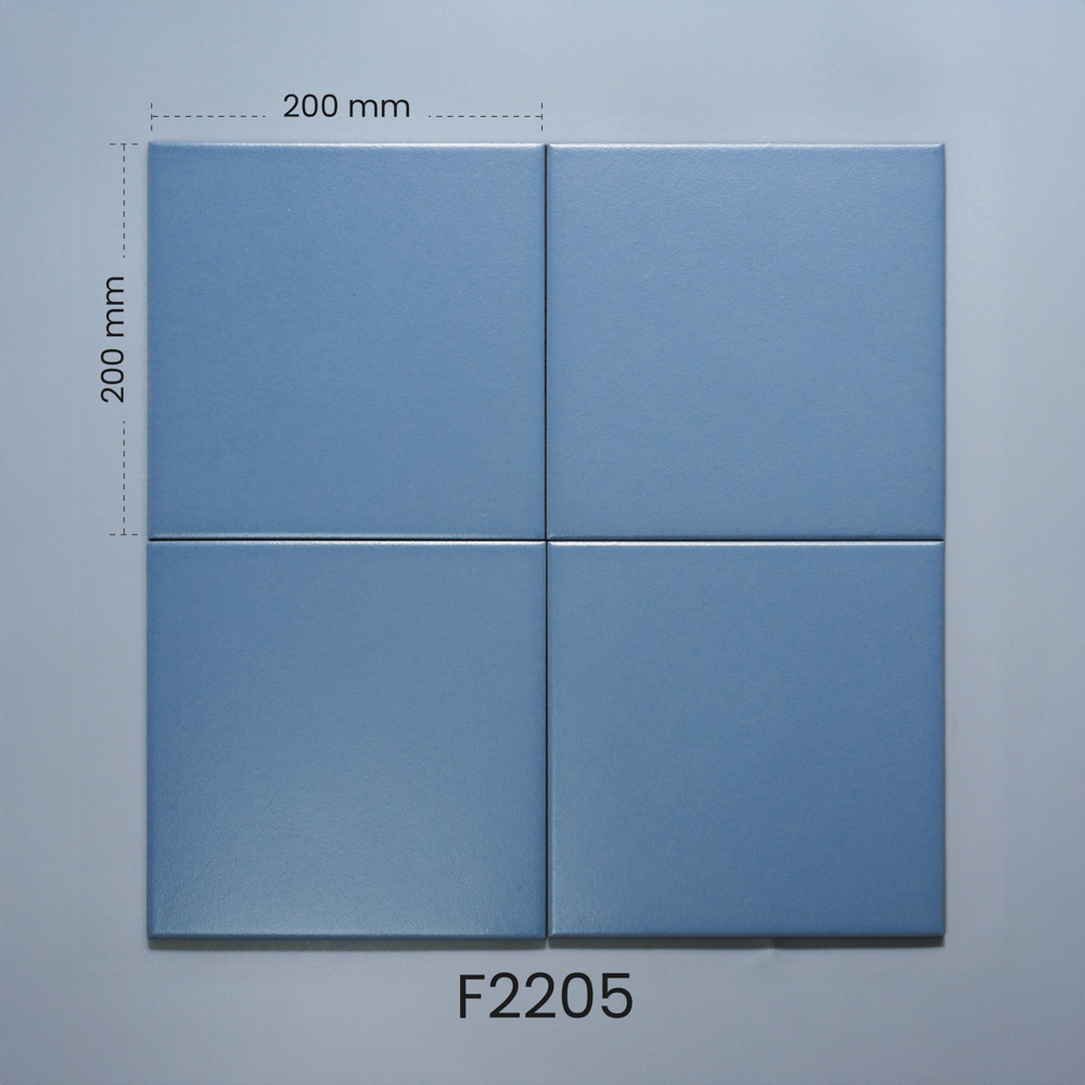 Gạch Bông F2205 - Ảnh 3